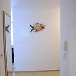 Amazing Sea * Balchik